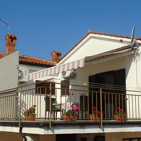 Olga Near The Novigrad (Istria)