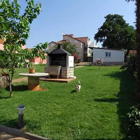 Olga Near The * Novigrad (Istria)